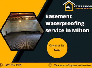 The Importance of Basement Waterproofing Services in Milton: A Comprehensive Guide to Waterproofing